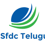 SFDC Telugu